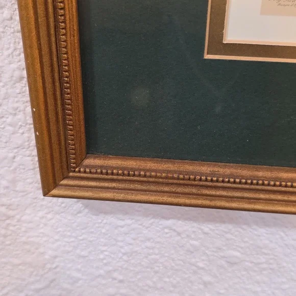 Robert Furbe's Twelve Months Of Flowers Framed Floral Art Print with Gold Frame - Picture 5 of 11